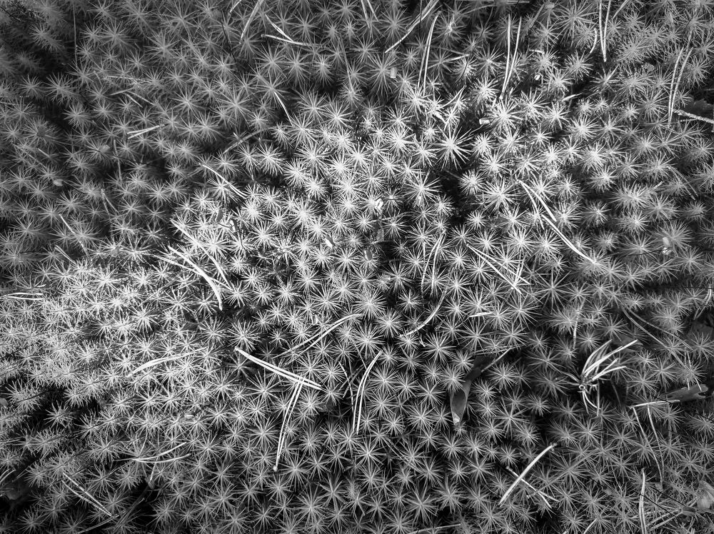 Photograph by Татьяна Романова