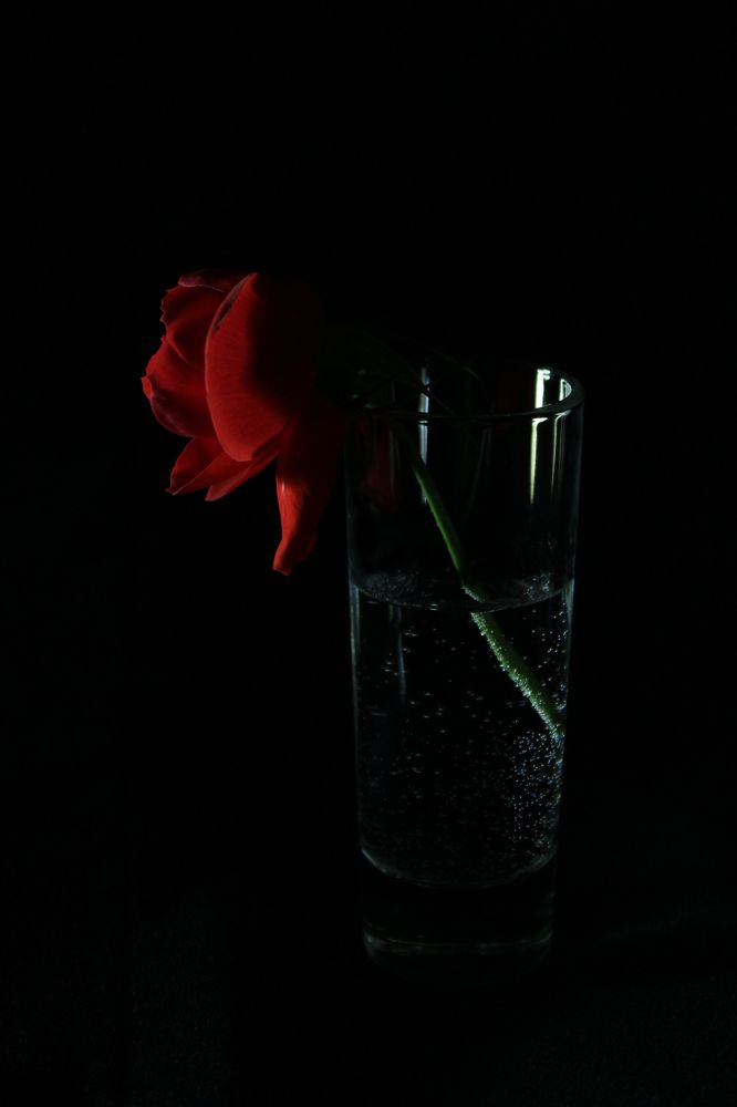 Фотография автора Екатерина Пачина