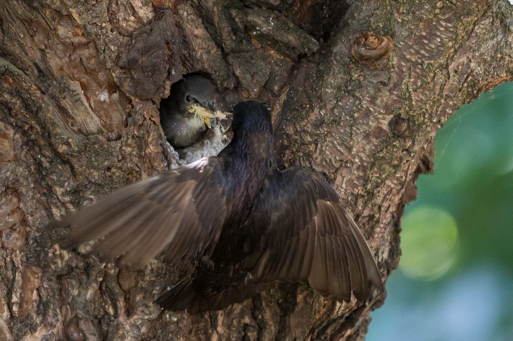 Photograph by Oleg Patrin