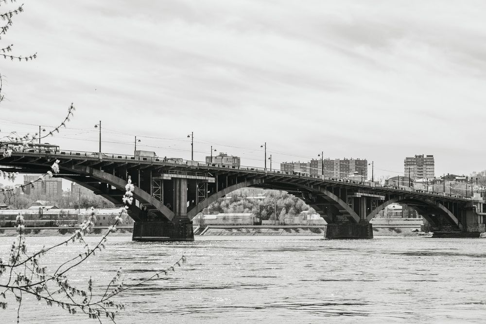 Photograph by Владимир Пилюков