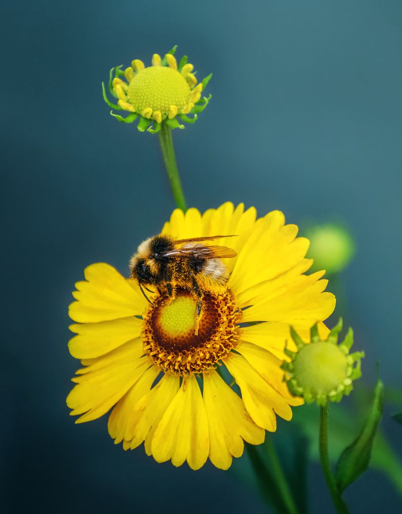 Photograph by Вера Печеник