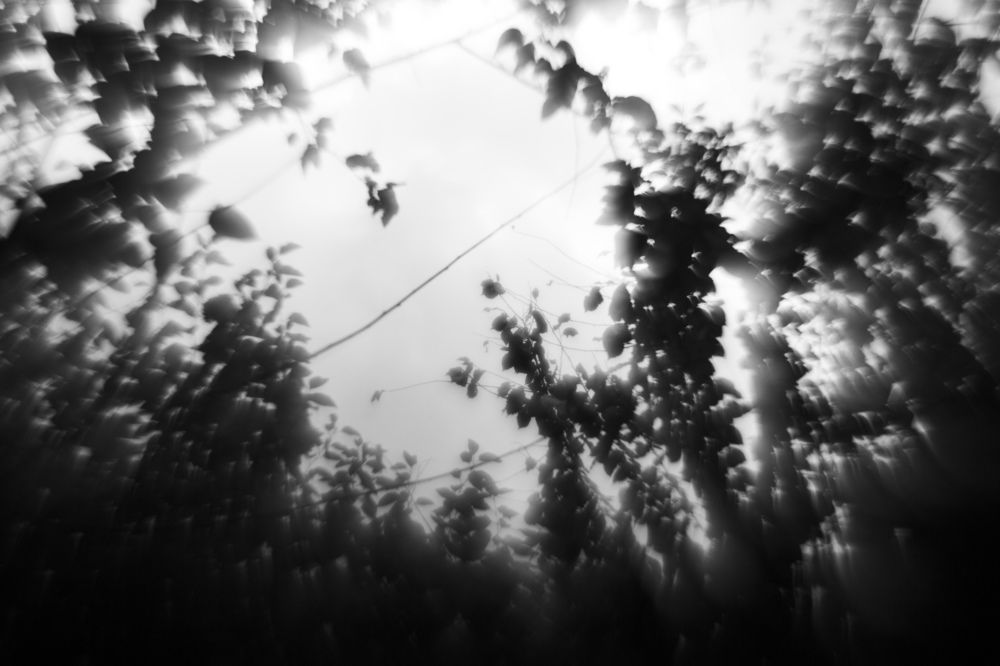 Photograph by Daniil Teryoshin