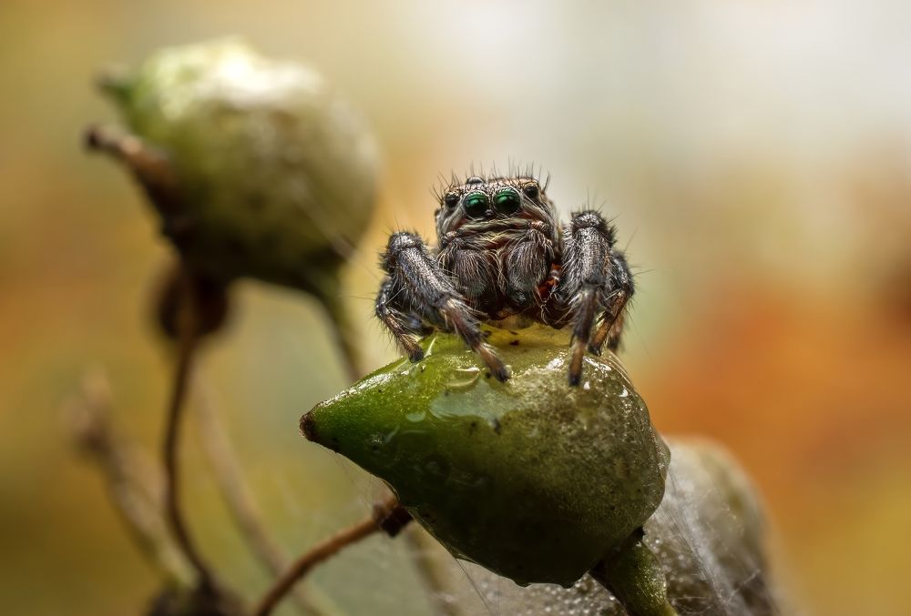 Photograph by Людмила Железнова