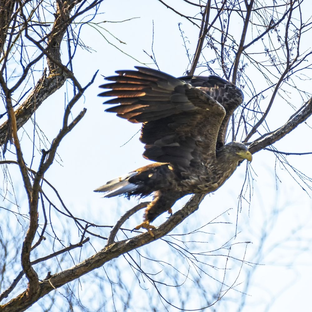 Photograph by Анатолий Салтыков