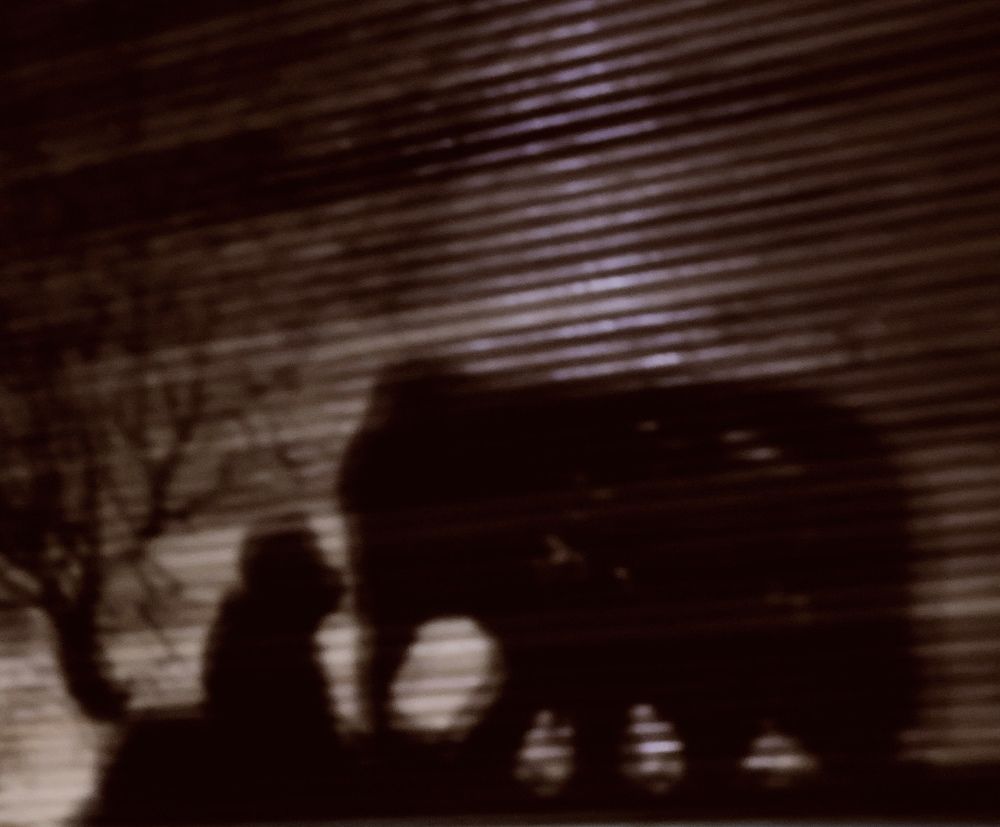 Photograph by Серёга Ануфриев