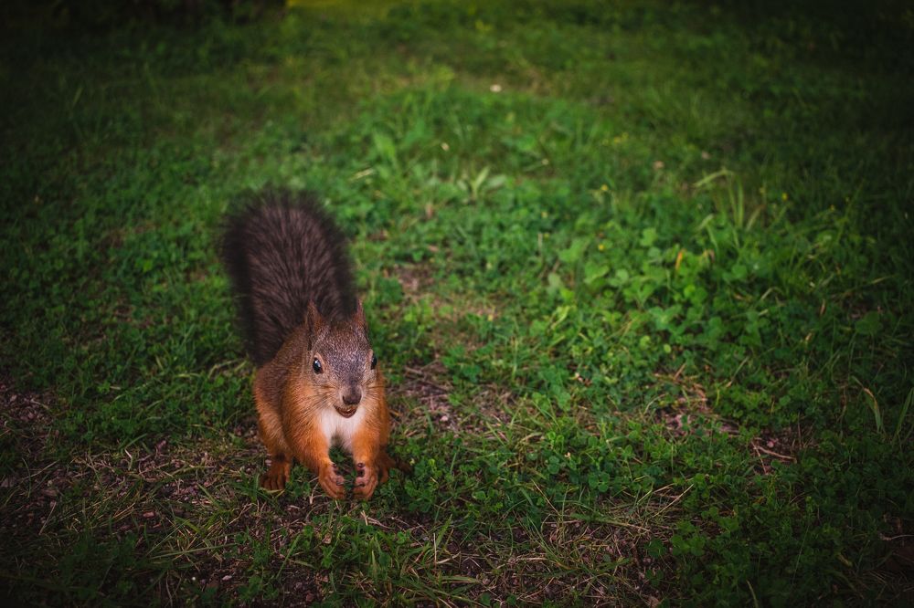 Photograph by Александра Климук