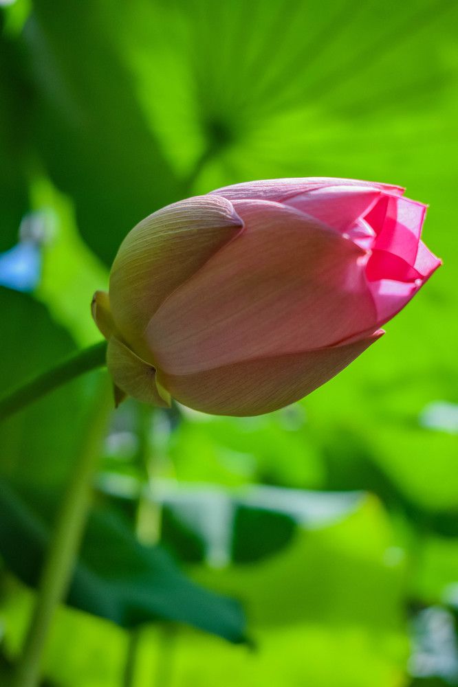 Photograph by Александра Климук