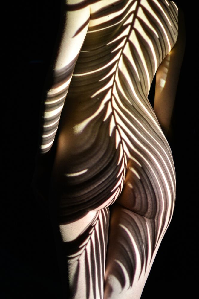 Фотография автора Дмитрий Хань