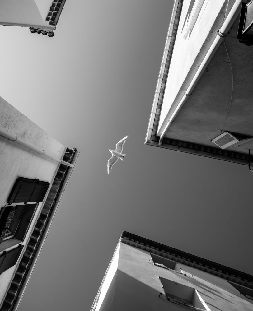 Photograph by Шилов Александр