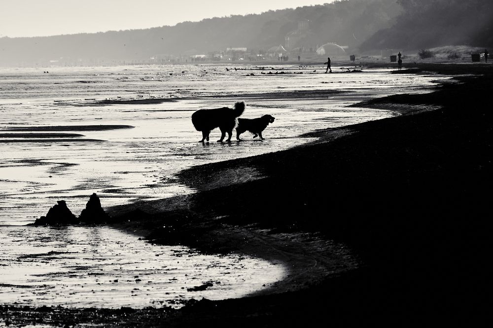 Фотография автора Vilnis Zoldners
