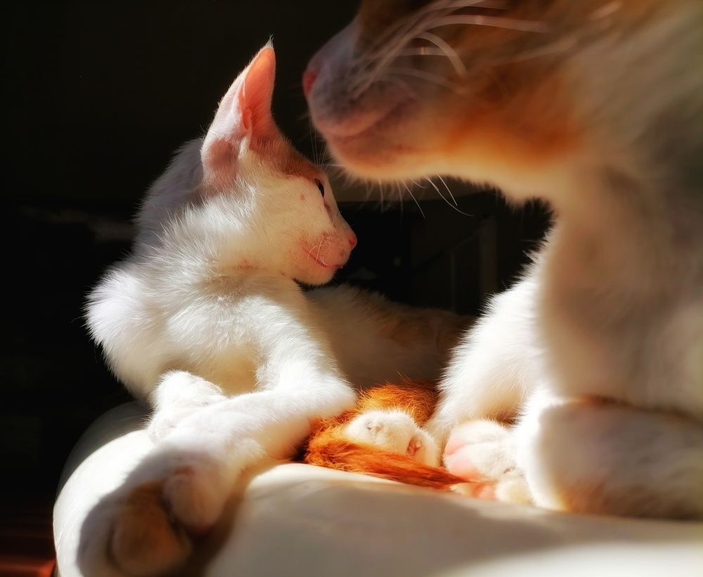 Фотография автора Abhitha