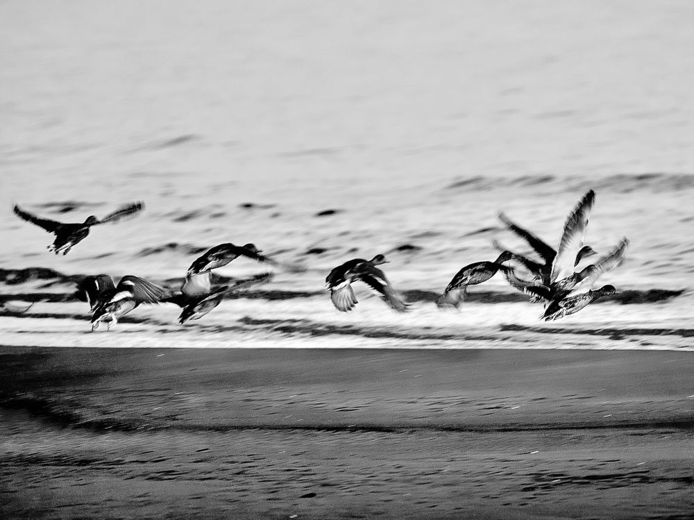 Фотография автора Vilnis Zoldners