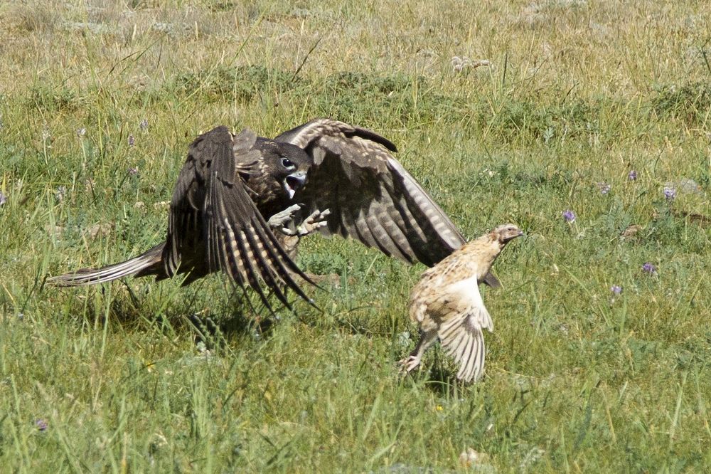 Photograph by Владимир Рубинчик