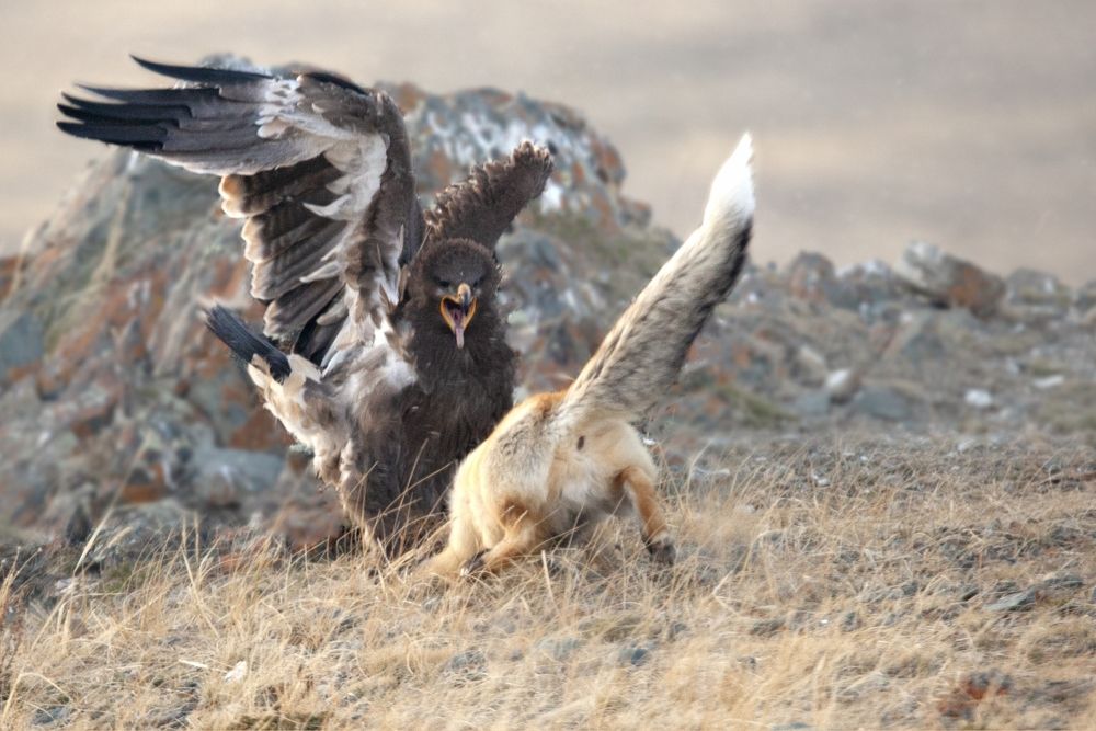 Photograph by Владимир Рубинчик