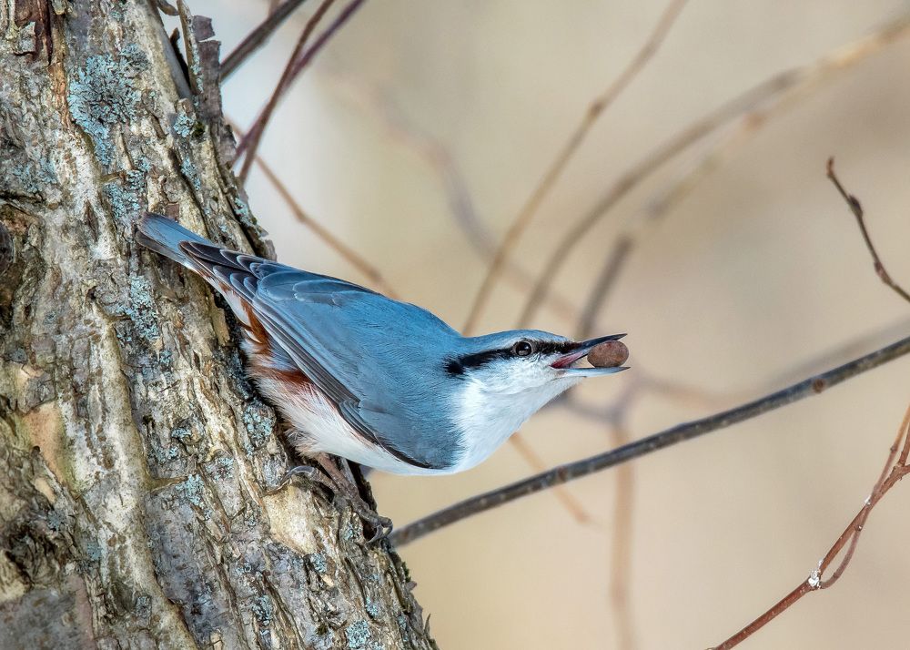 Photograph by Белевитин Михаил