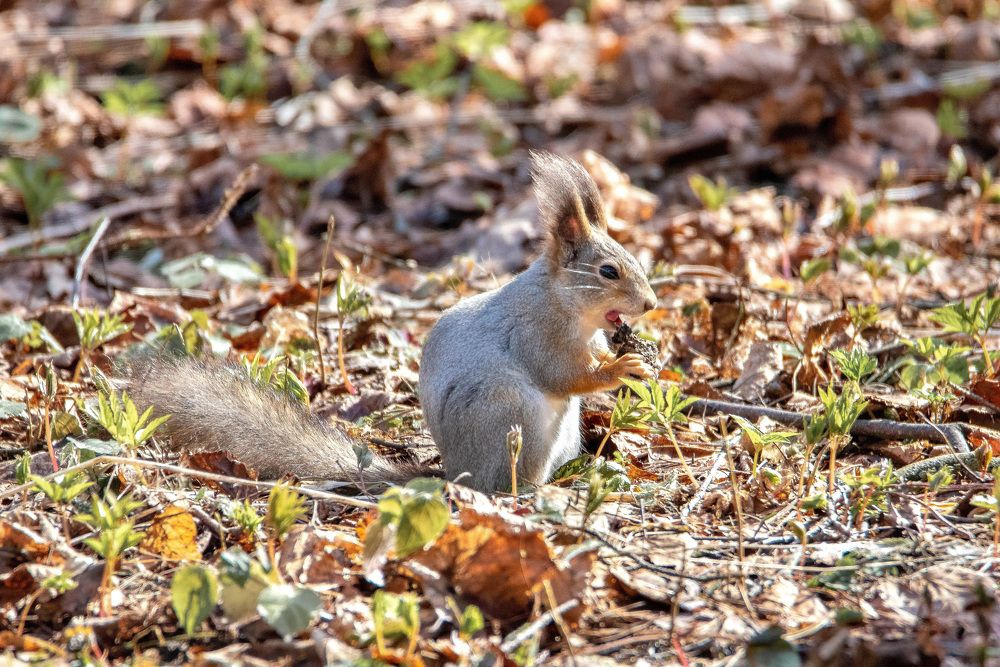 Photograph by Белевитин Михаил