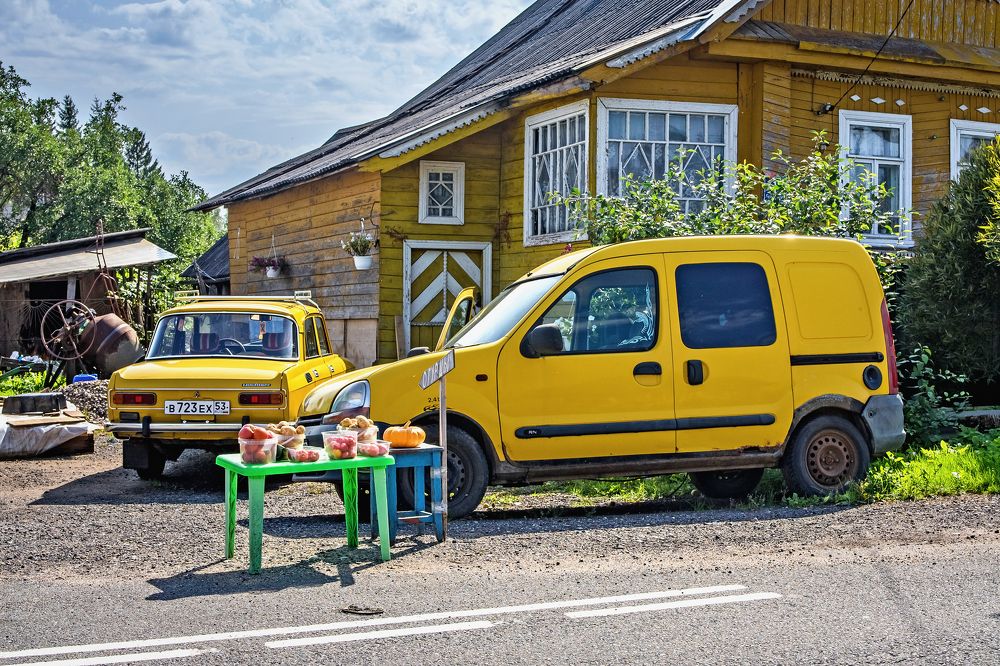 Фотография автора Светлана Разумовская