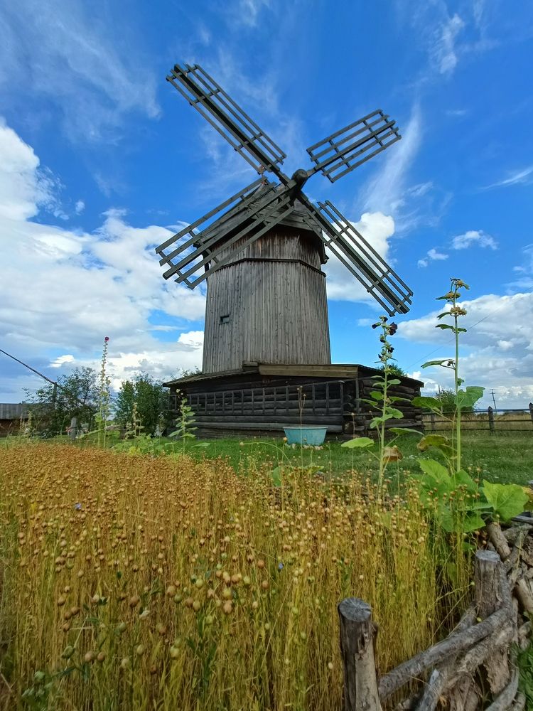 Фотография автора Татьяна Лука