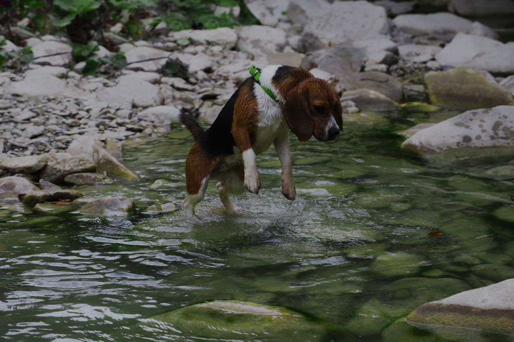 Photograph by Ирина Бескровная