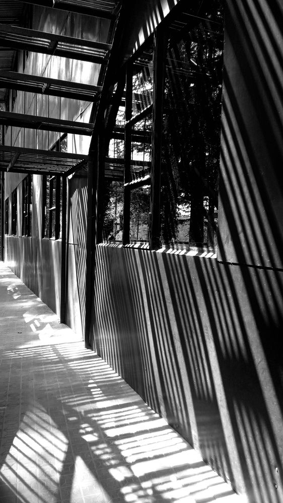 Photograph by Ritu Dinkar