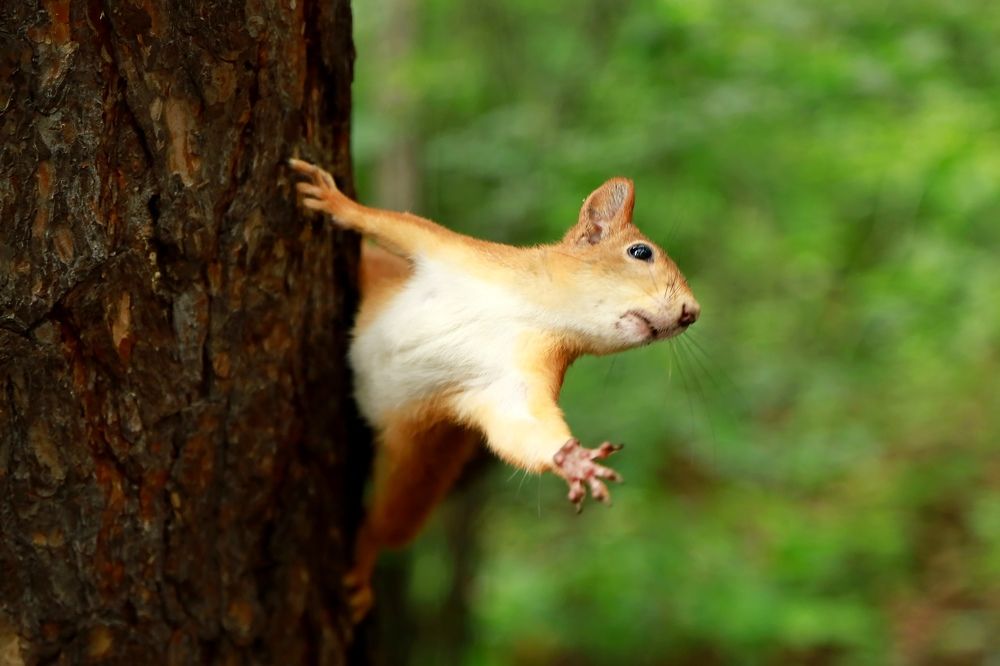 Photograph by Ольга Метлицкая