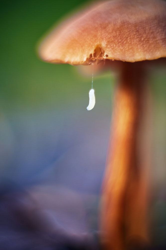 невесомость