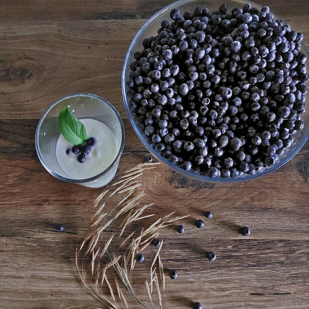 Photograph by Olga Ivancevič