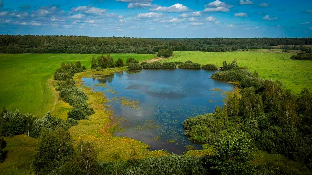 Photograph by Кудрявцев Александр