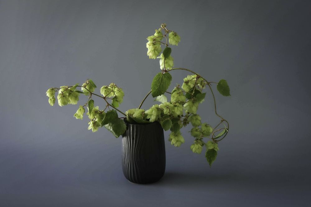 Photograph by Елена Болдырева