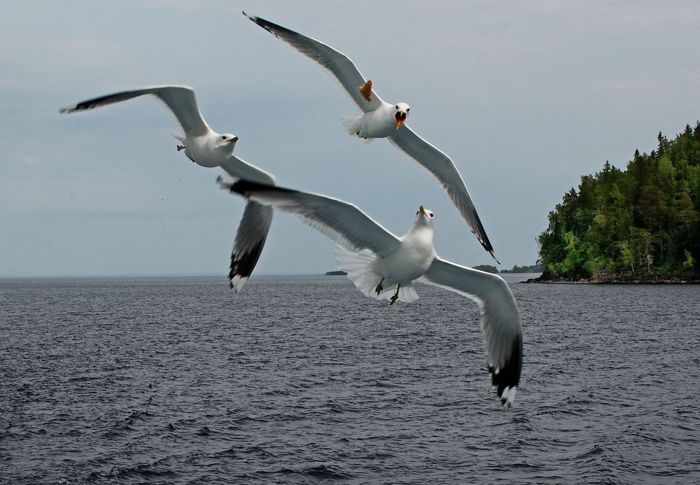 Photograph by Александр