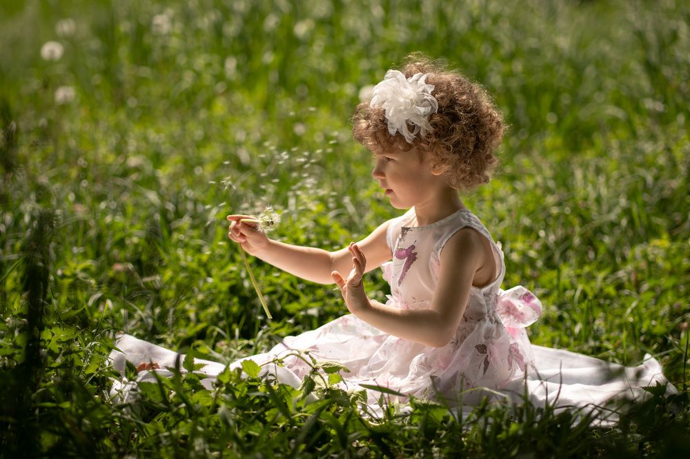 Фотография автора Светлана Зимина