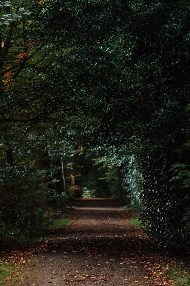 Photograph by Anya Lo