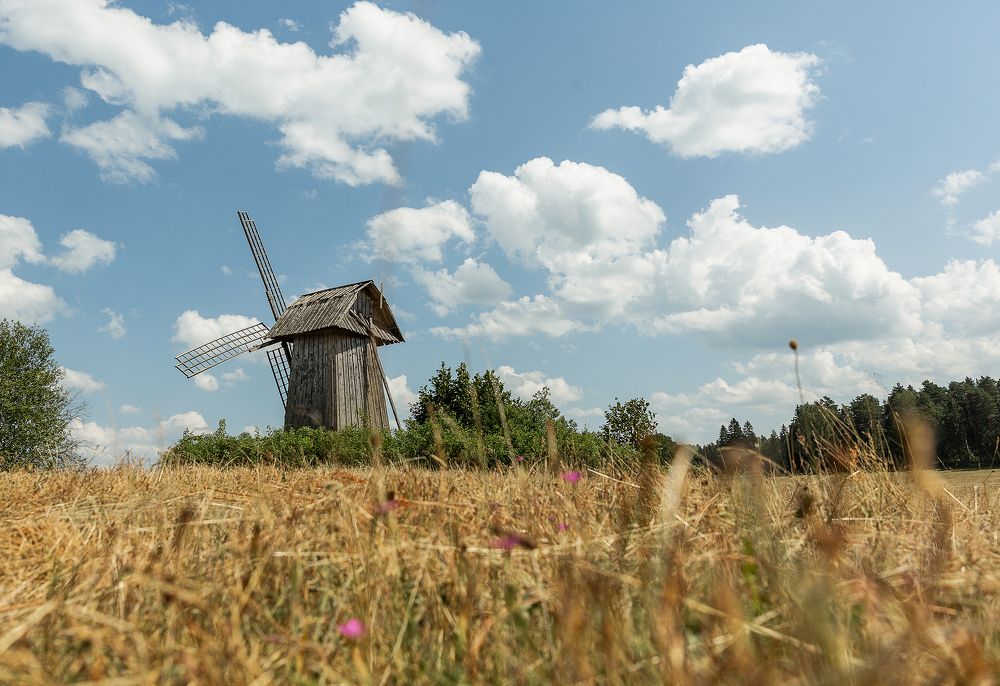 Photograph by Чистякова Валерия