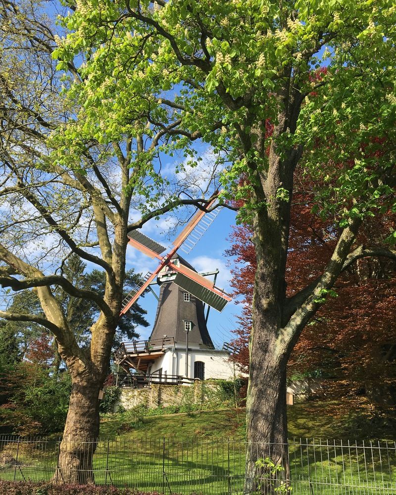 Photograph by Юлия Легкова