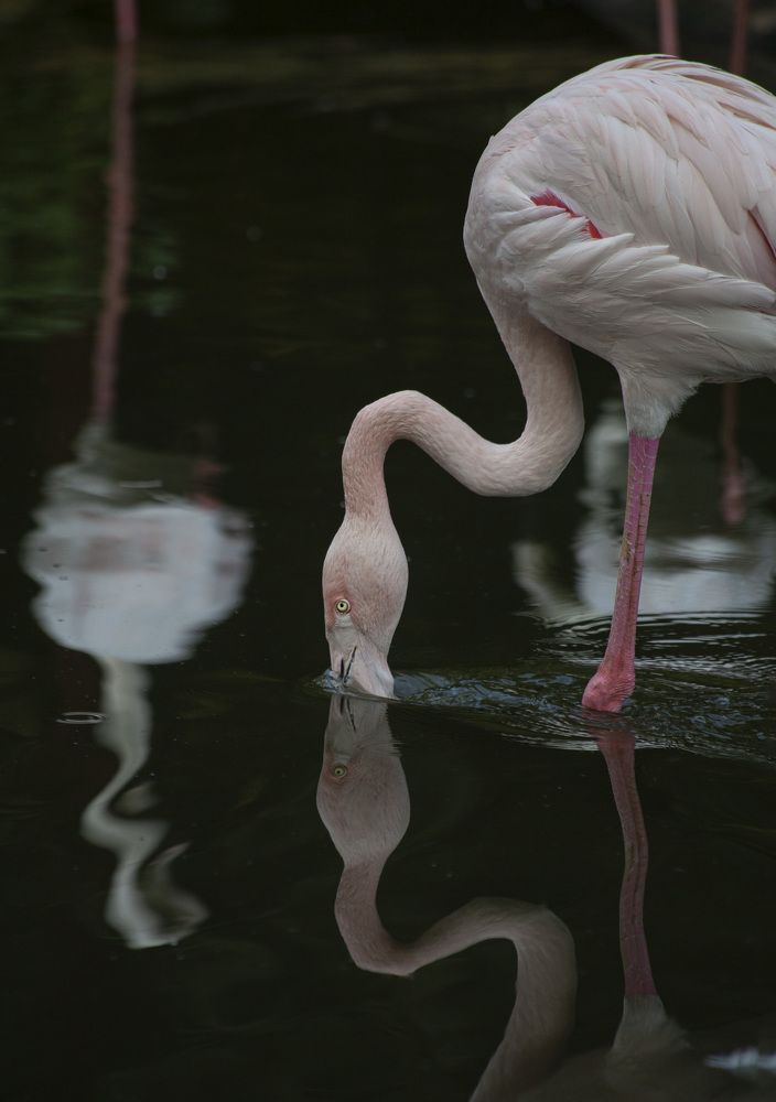 Фотография автора Galina Sa