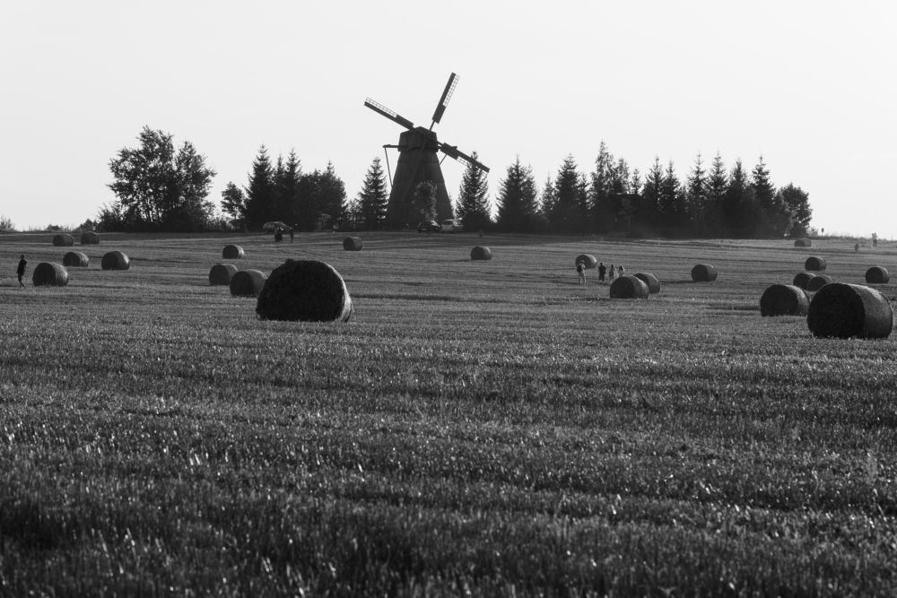 Photograph by Владимир Ликман