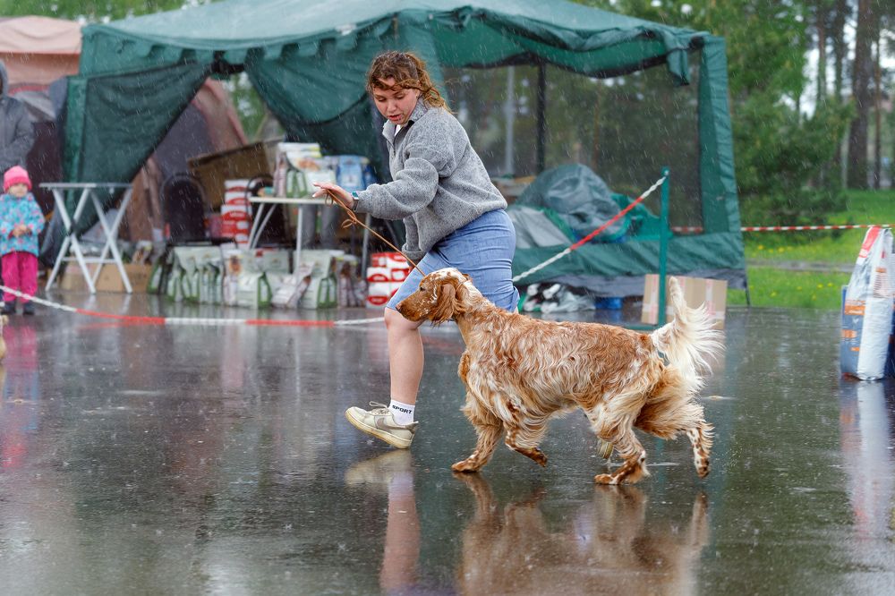 «Безумству храбрых поём мы песню» ©