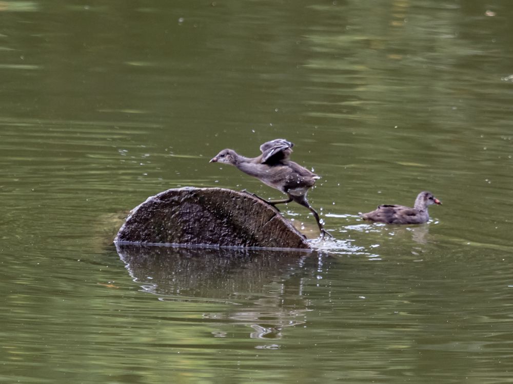 Photograph by Yury Fokin