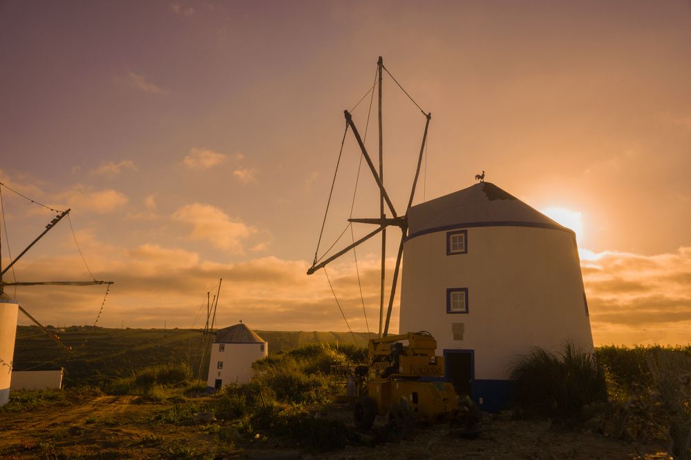 Фотография автора Светлана Зимина