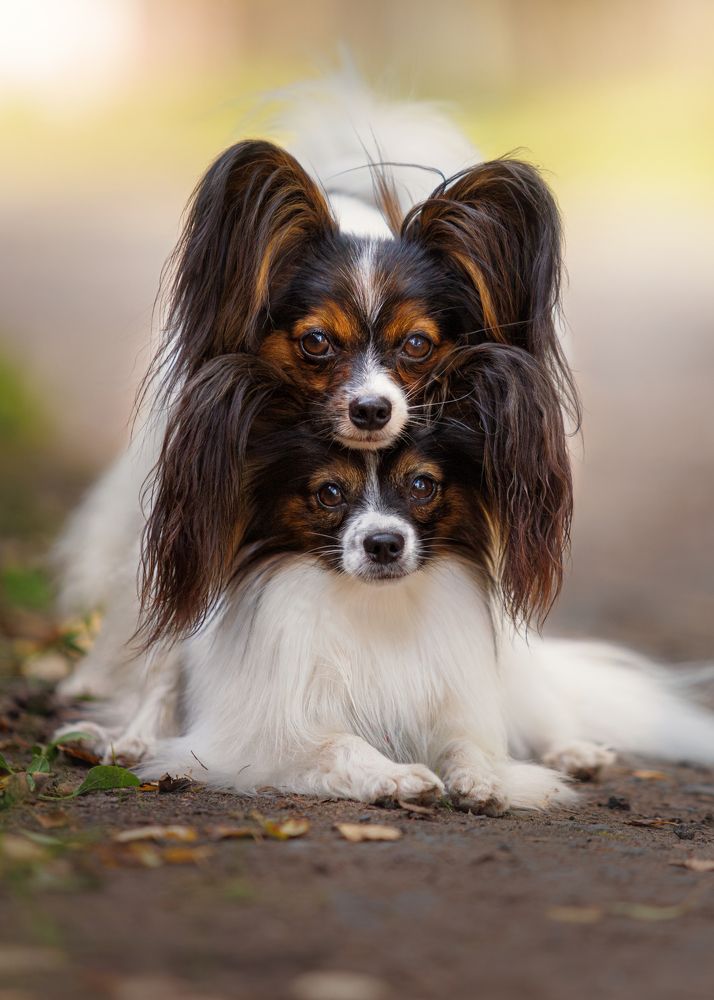 Photograph by Яна Нарбутович