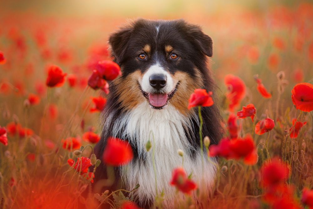 Photograph by Яна Нарбутович