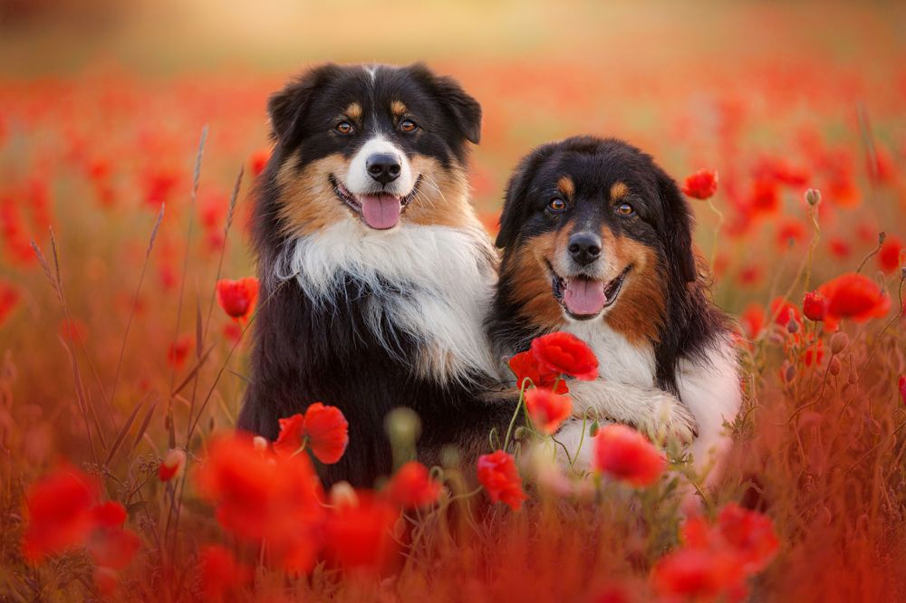 Photograph by Яна Нарбутович