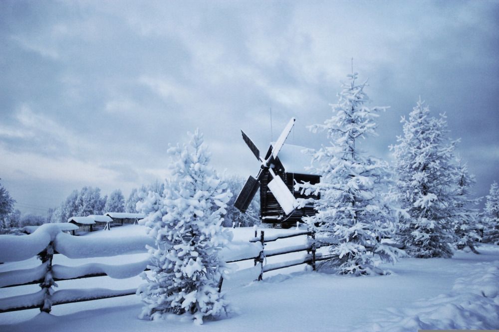 Photograph by Дарья Чистякова