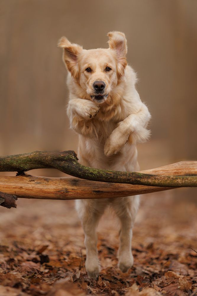 Photograph by Яна Нарбутович