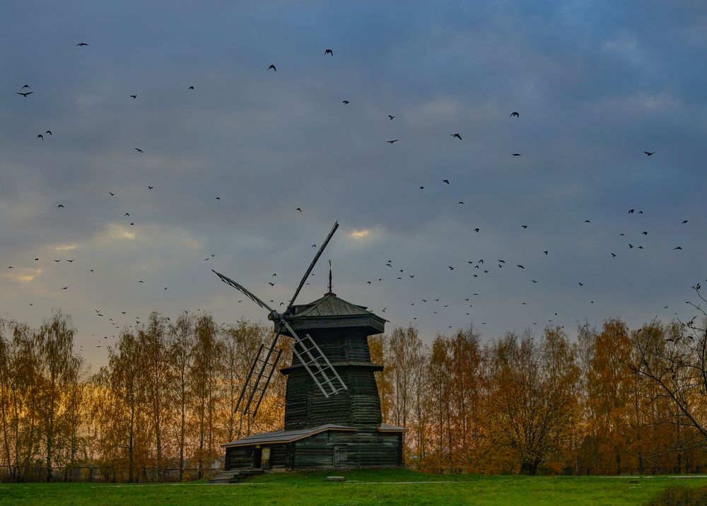 Photograph by Светлана Зимина