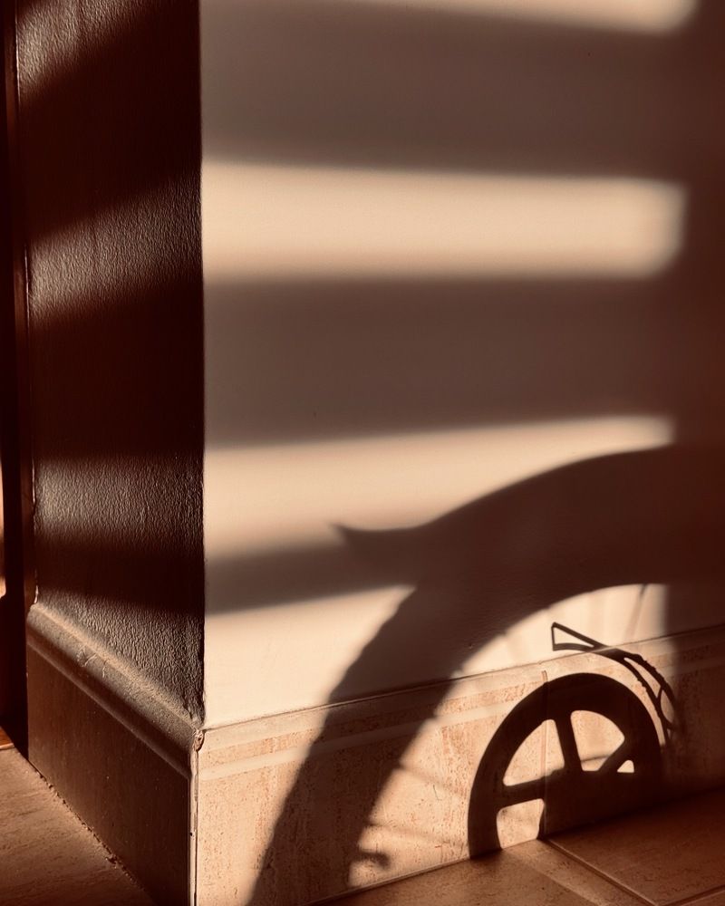 Photograph by Liudmila