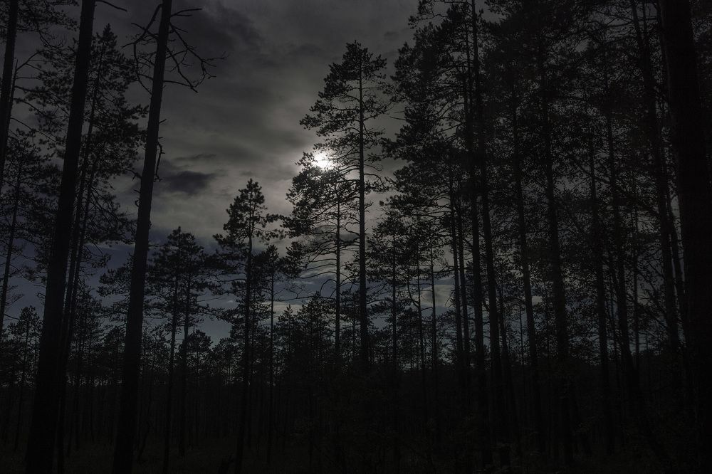 Photograph by Юрий Миронов