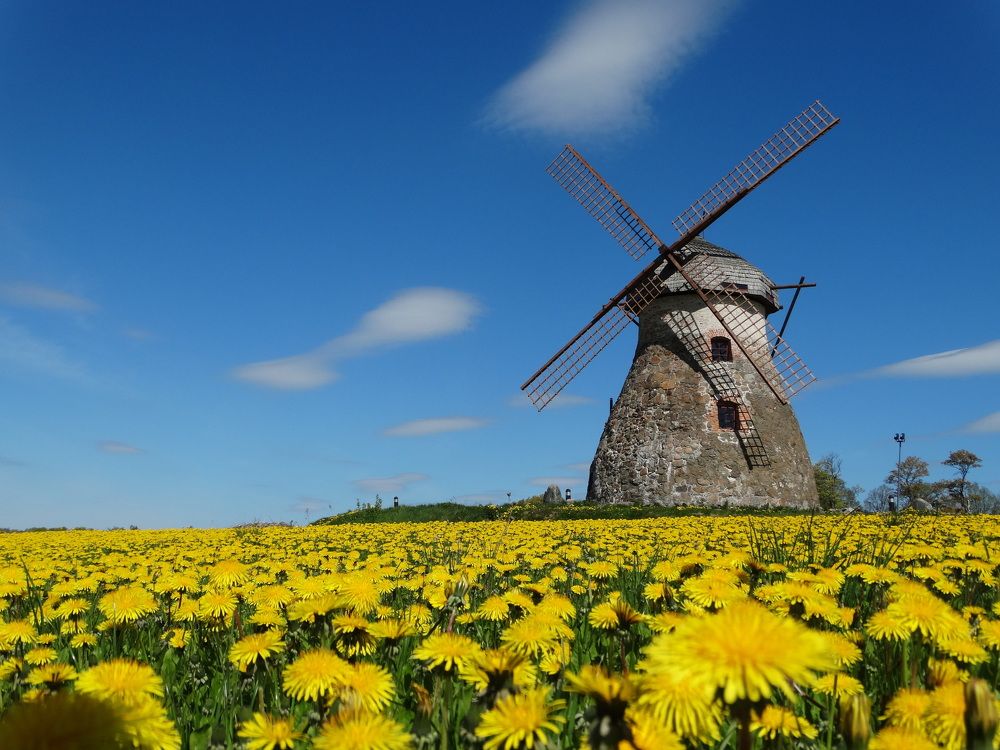 Photograph by ILONA OTRUTSKAYA