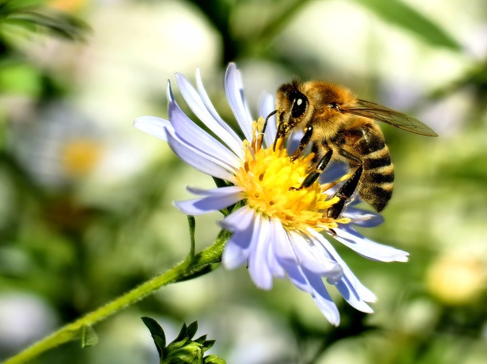 Photograph by Роман Межерицкий