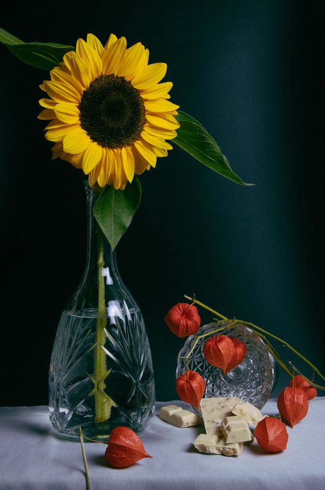 Photograph by Nora Cheprasova